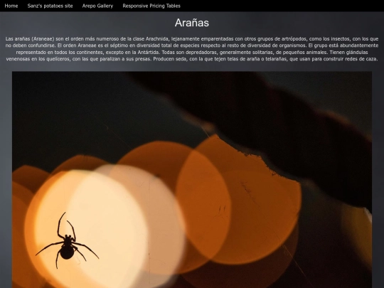 script screenshot