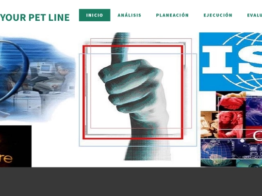 PetLine/evaluacion screenshot