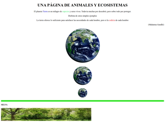 practica4 screenshot