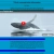 Whale Communication avatar