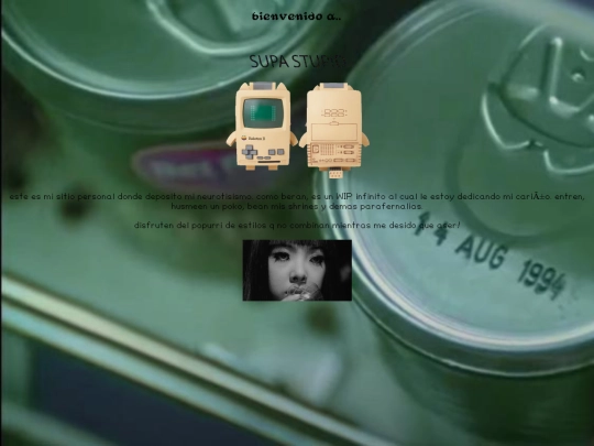 bienvenida screenshot