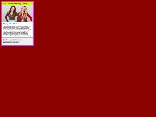 flash-sarver screenshot