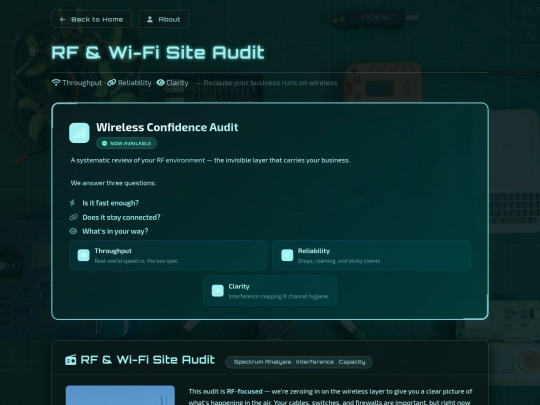 projects/rf_audit screenshot