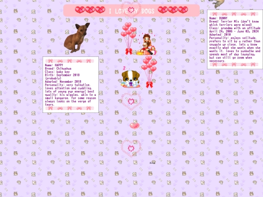 dog screenshot