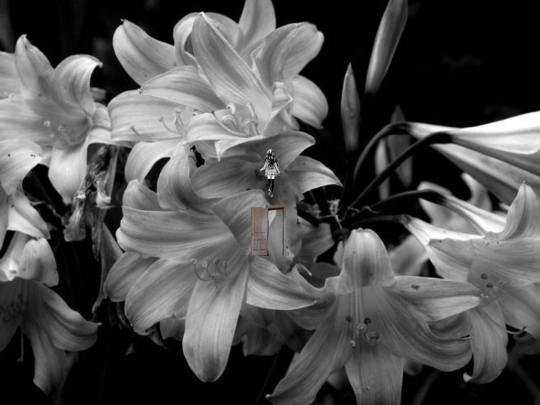 turnimage1 screenshot