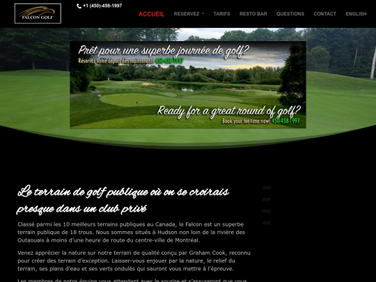FalconGolf screenshot