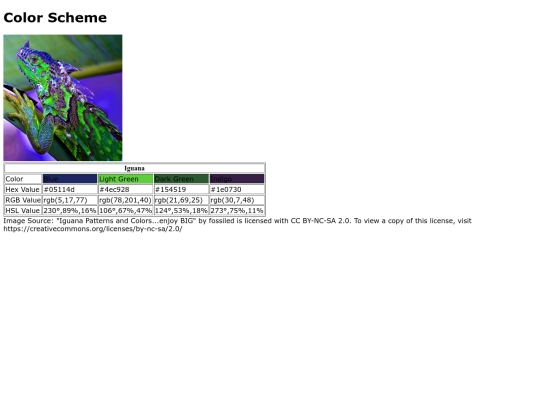 color-scheme screenshot
