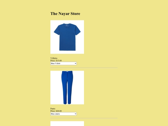 nayar-store-3 screenshot