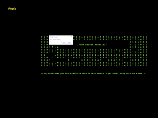 PORTFOLIO/work screenshot