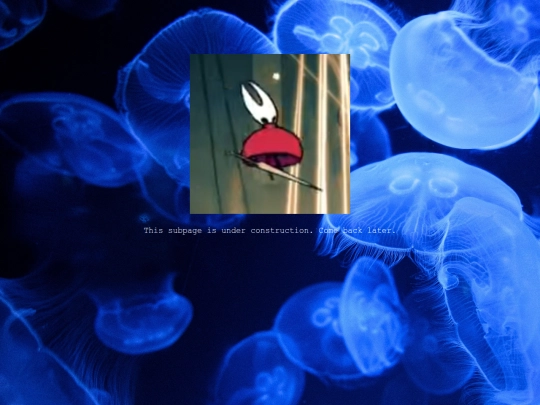 history screenshot