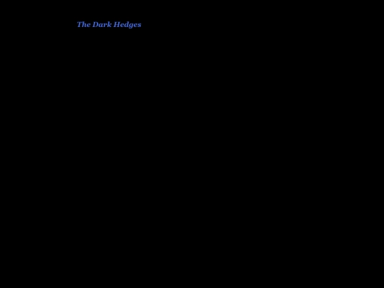 Twine Games/The Dark Hedges by Reynalyn Reid screenshot