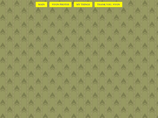 thanksnyon screenshot