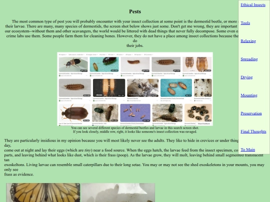 ethicalinsects/insectspests screenshot