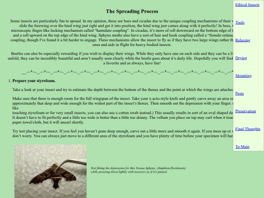 ethicalinsects/insectspread screenshot