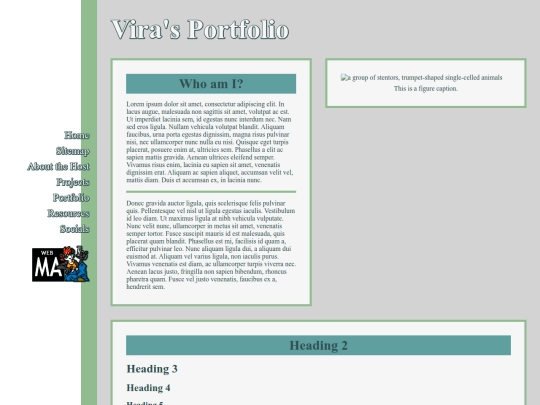 portfolio screenshot
