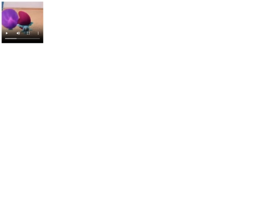 test screenshot