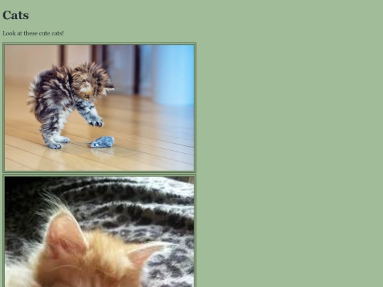 Cats screenshot