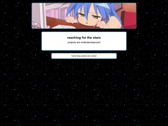 project screenshot