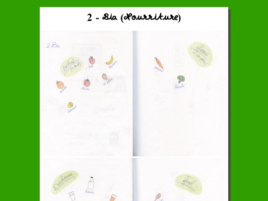 francais/langue/bia screenshot