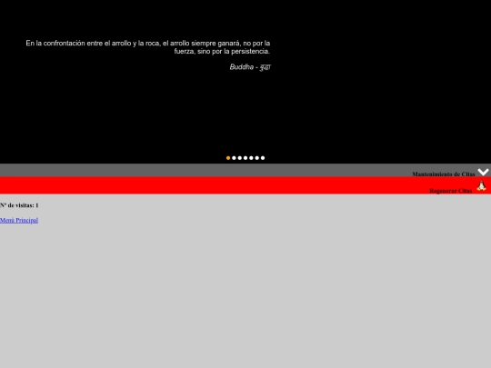 modulo_8/citas_local_storage screenshot