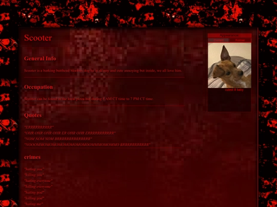 something screenshot