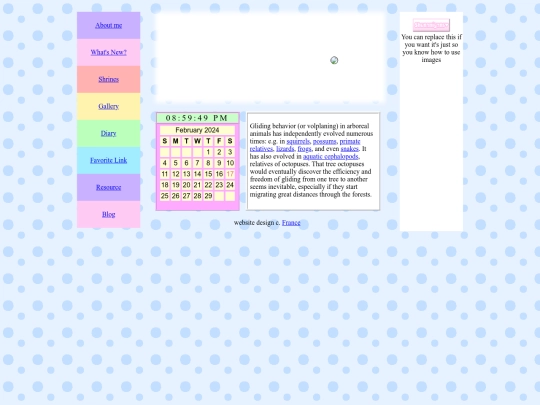 blog screenshot