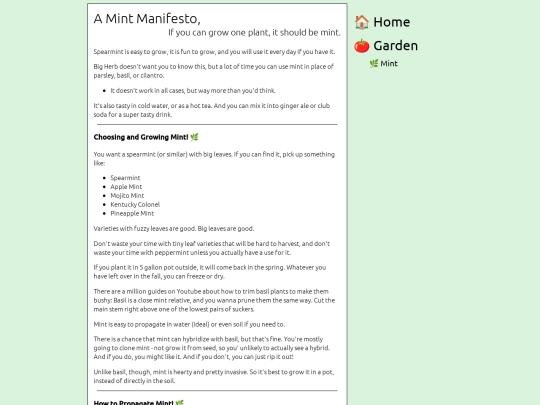 mint screenshot
