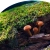 criddibean.yorniq.xyz avatar
