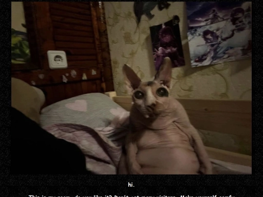 myroom screenshot