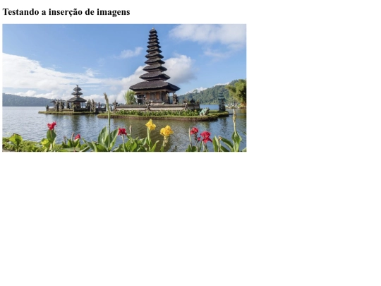 0_HTML5/testandoImagem screenshot
