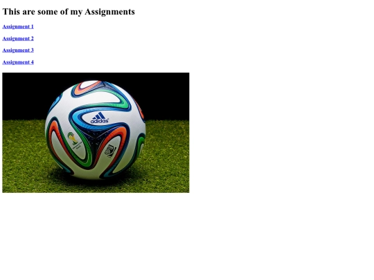 assignment5 screenshot
