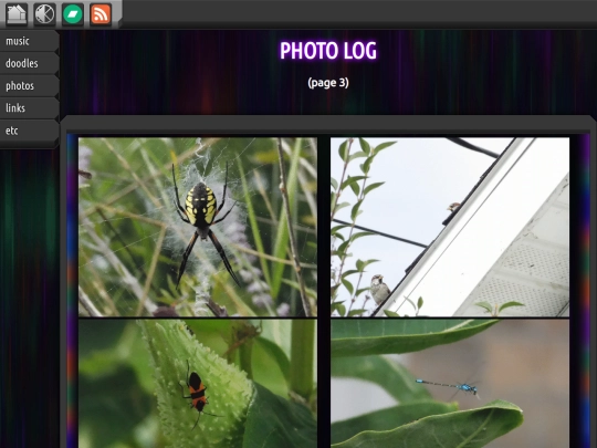 photos/3 screenshot