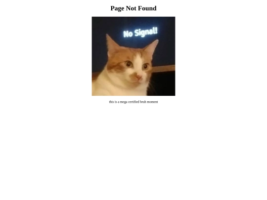not_found screenshot