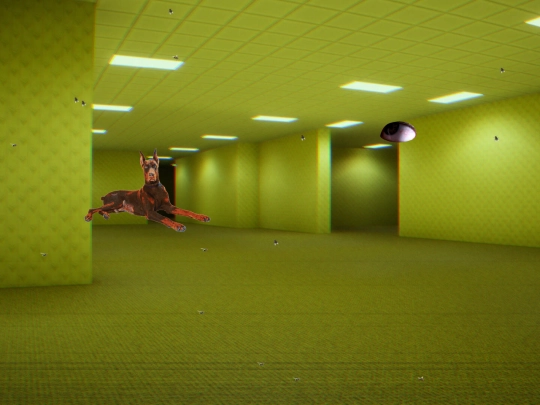 secret screenshot