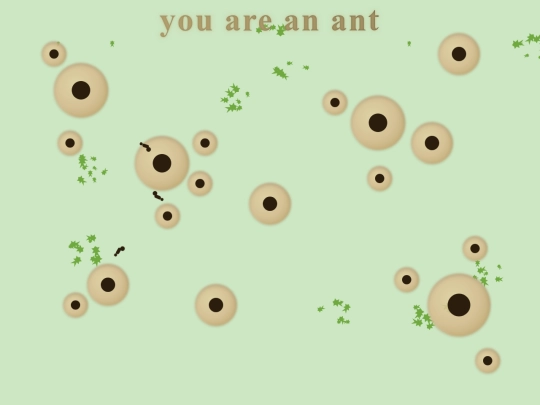 anthill
