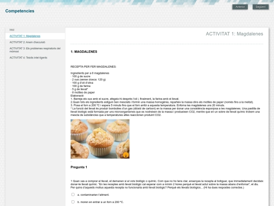 competencies/activitat_1_magdalenes screenshot
