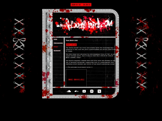 diary screenshot