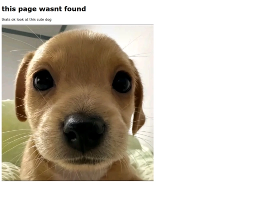 not_found screenshot