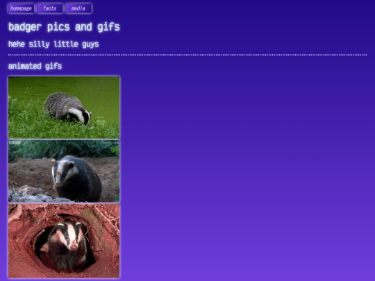 media screenshot