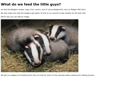 aboutthebadger screenshot