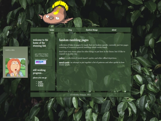 fanrambles screenshot