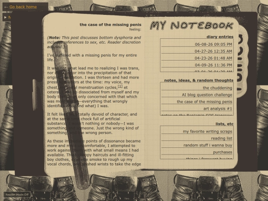 notebook/diary/the-case-of-the-missing-penis screenshot