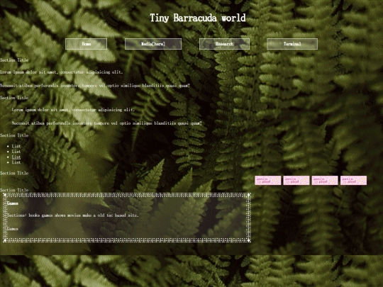 media screenshot