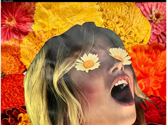 collage screenshot
