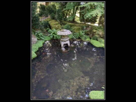 explore/pond screenshot