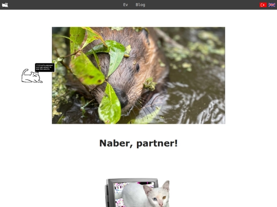 indextr screenshot