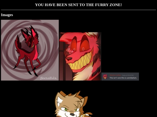 html_files/fur screenshot