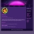 fabulle.yorniq.xyz avatar