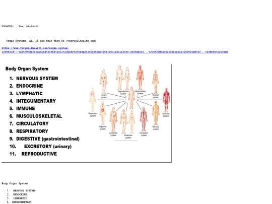 medical/body screenshot