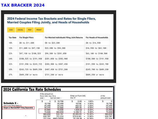 sub/tax2024 screenshot